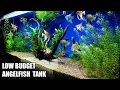 Lagu Build A Low Budget Planted Aquarium For Angelfish