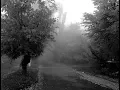 Download Lagu Between Summer And Autumn (music video)