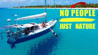 Completely ALONE on an Island – Escape the Chaos with Us [Ep. 186]