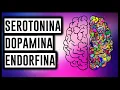 Download Lagu Música para Liberar SEROTONINA, DOPAMINA, ENDORFINA
