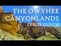 The Owyhee Canyonlands Leslie Gulch