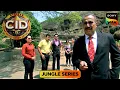 Download Lagu क्या जंगल में छुपी Rain of Fire के राज़ का पता लगा पाएगी CID? | CID |सी.आई.डी. | Jungle Series