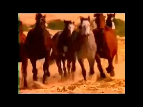 Galloper
