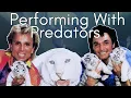Siegfried and Roy Tiger Attack When a Bond With a Big Cat Gets Broken