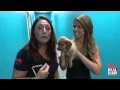 Franny s Puppies - Twix