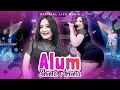 Download Lagu Shinta Arsinta - Alum (Official Live Music)