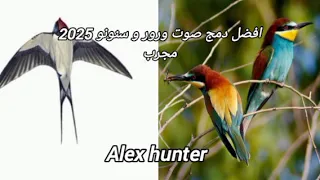 افضل دمج صوت ورور و سنونو 2025 مجرب 