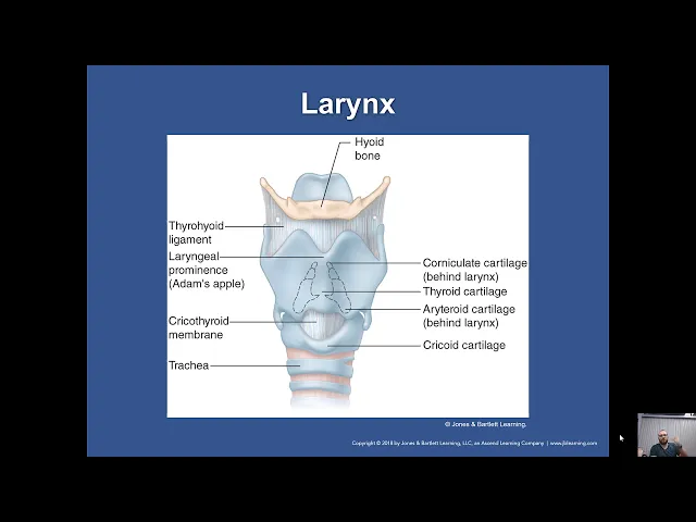 Ch. 15 Airway Management Lecture