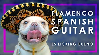 9 HOUR FLAMENCO SPANISH GUITAR RELAXING ACOUSTIC GUITAR INSTRUMENTAL MUSIC FOR STUDYING 