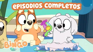 Lo mejor de los regalos 🎁🧡 | Episodios completos de Bluey |  Bingo - Español Canal Oficial