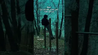 توقف ايها التاريخ السعوديه اليمن مصر الامارت اكسبلور Edit 