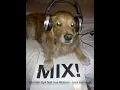 Paul Van Dyk feat. Sue Mclaren - Love is enough (Nyana Mix)