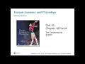 Anatomy and Physiology Chapter 18 Part A