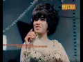 Download Lagu Pak Maun Pesta Muda Mudi - Nasib Dore Mi