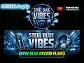 Lagu Sepik Blue Orchid Flower – Official Music Release | Steel Blue Vibes | 2026 PNG Music🇵🇬💯