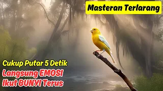 kenari exotic durasi 2 jam terapi suara untuk burung yang tidak bersemangat