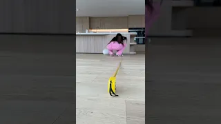 Wait Till The End Youtubeshorts 