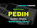 Download Lagu PEDIH KARAOKE NADA PRIA COWOK Rhoma Irama