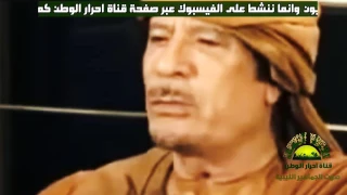 اغنية احنا قصرنا في حقك سامحنا 3 