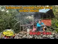 Download Lagu 2HARI DI PONDOK HUTAN | BANYAK KEJADIAN YANG TAK DISANGKA