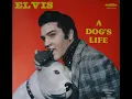 Elvis Presley -  Hound Dog  [Mono-to-Stereo] -  1956