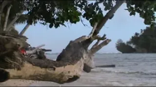 lagu rohani acoustic biak sub allah byana 