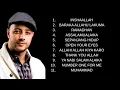 Lagu Maher Zain Full Album 2025| Beautiful Islamic Songs Playlist 🌙 Peaceful Nasheed Music