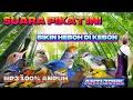 Download Lagu SUARA PIKAT BURUNG KECIL DAN BESAR AMPUH ANTI ZONK MP3, SUARA PIKAT SEMUA BURUNG