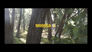 moonga k heartbeat 8 official music video 