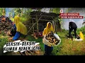 Download Lagu Allhamdulilah..Panen Singkong Nenek ICIH Di Sawah.