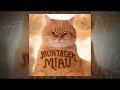MONTAGEM MIAU (Extended)