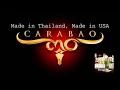 Download Lagu Carabao - Made in Thailand, Made in USA