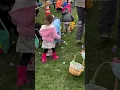 Easter Eggs Hunt