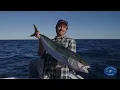 Noosa Visitor Centre Reel