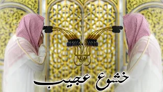 خشوع لايوصف للشيخ خالد المهنا من محراب المسجد النبوي الشريف 