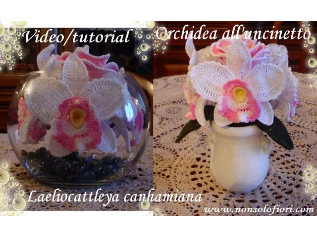 ORCHIDEA ALLUNCINETTO