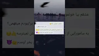 منم یه دوست دختری اینجوری میخواهم 