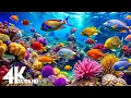 Download Lagu Aquarium 4K Ultra HD - Stunning Coral Reef Fish with Relaxing Meditation Music for Sleep