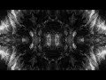 Architects - When we were young lyrics