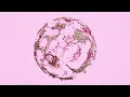 Plexus - Tyflow Setup