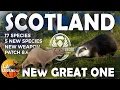SCOTLAND MAP Confirmed with NEW GREAT ONE!!! - Badgers, Mink \u0026 MORE!!!