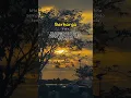 Download Lagu bukan karena kita sempurna #short #storywa