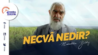 Necvâ nedir?