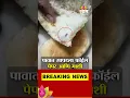 Download Lagu Dead fly and foil paper found in bread in Badlapur Badlapur VIRAL Video
