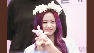 blackpink elegant echo