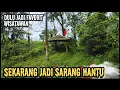 Download Lagu VIRAL TEMPAT ANGKER DI BANYUWANGI