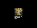 Download Lagu Dia Masa Lalumu, Aku Masa Depanmu - Vionita (slowed + reverb)