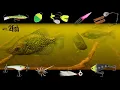 Download Lagu 6 Proven Panfish Setups You Need to Use | UNDERWATER Footage