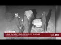Grimes County Sheriff s Office seeking info on group of burglars