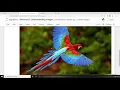 Understanding Images in Processing With OpenCV Face Recognition with Machine Learning in Flask